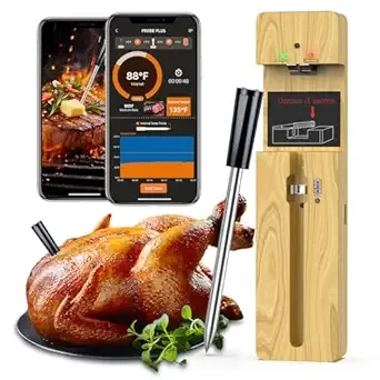 Wireless Meat Thermometer Bluetooth with Ceramic Probe: Waterproof Digital Oven Food Thermometer for Grill Fryer BBQ, 600Ft Range & Smart App